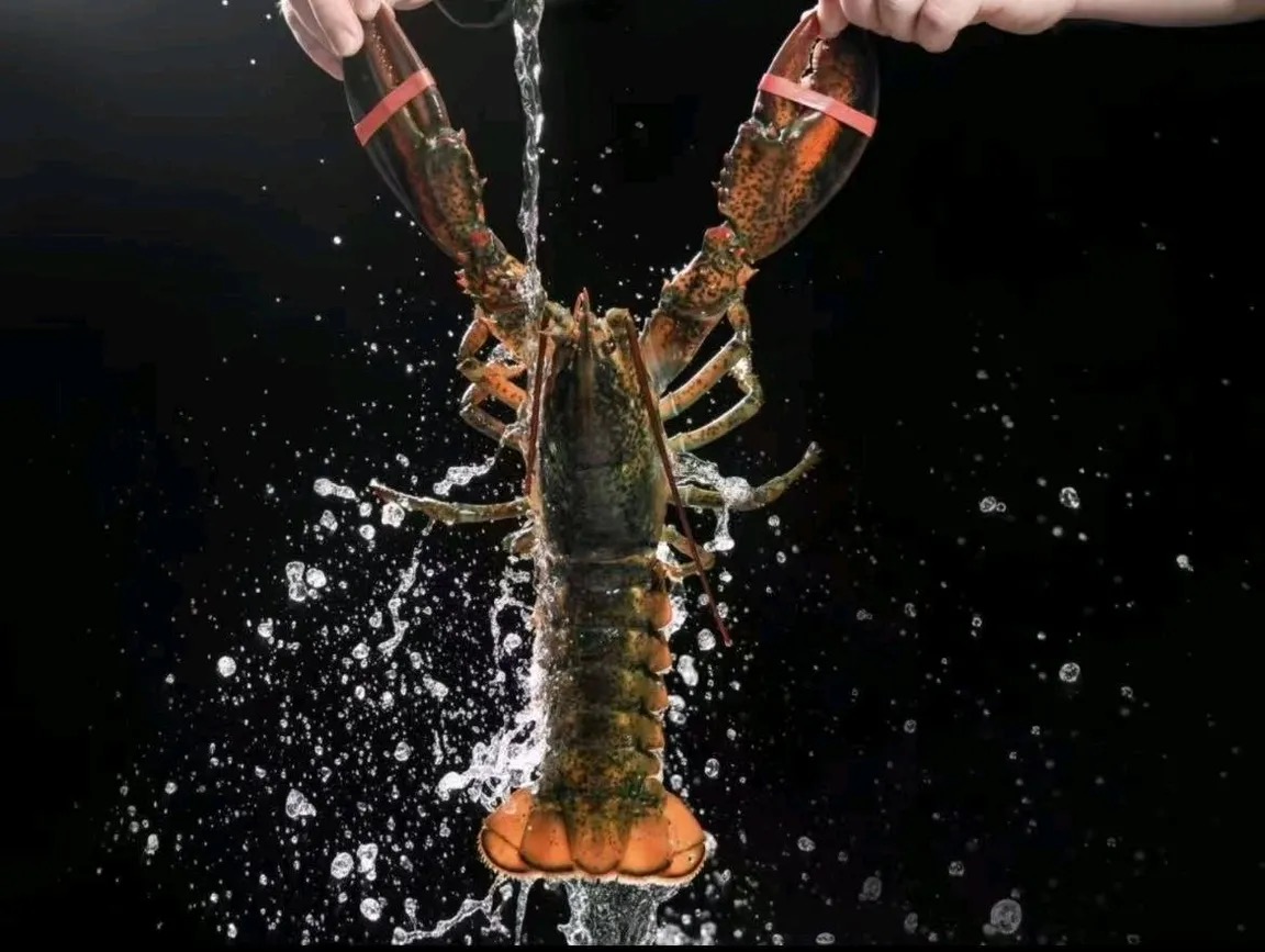 佛山海鲜